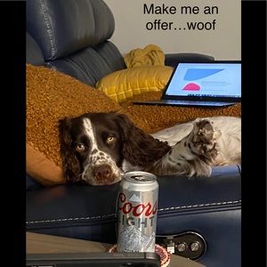 Marv says make me an offer